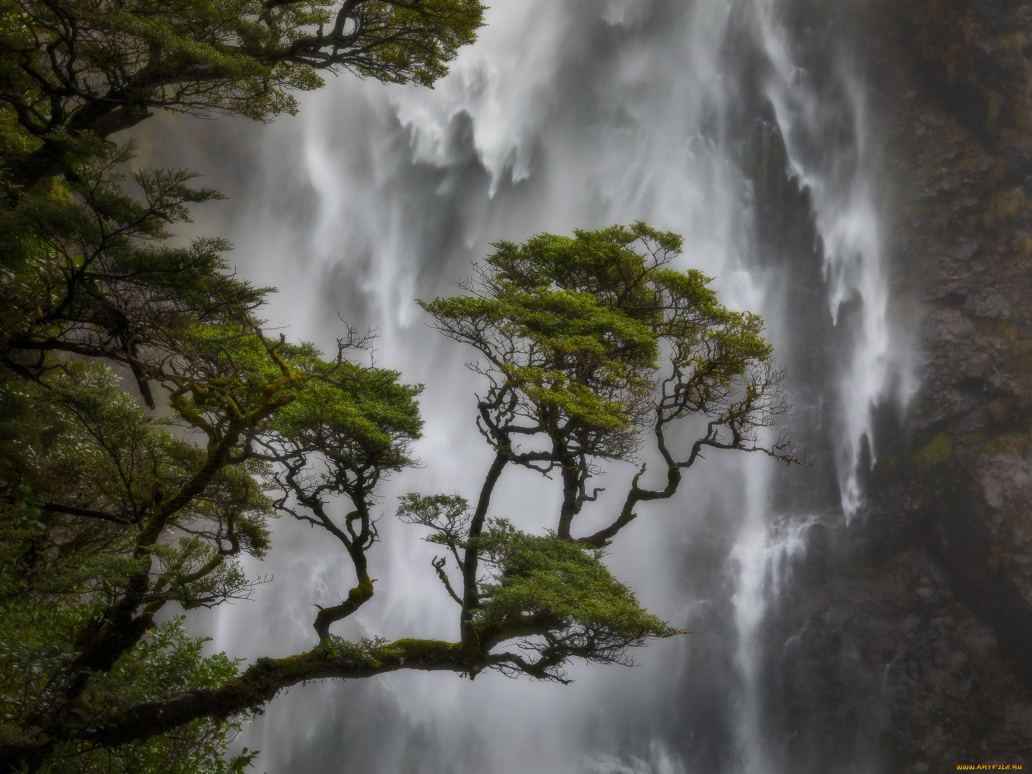 devil`s punchbowl falls  new zealand, , , 